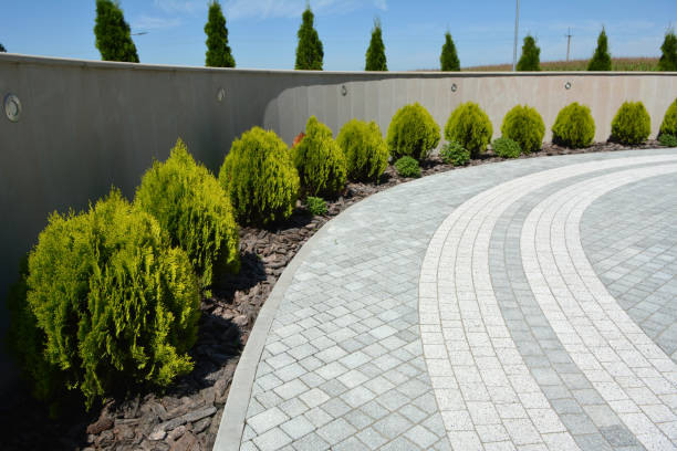 Best Driveway Pavers for Homes  in Barrington Hls, IL